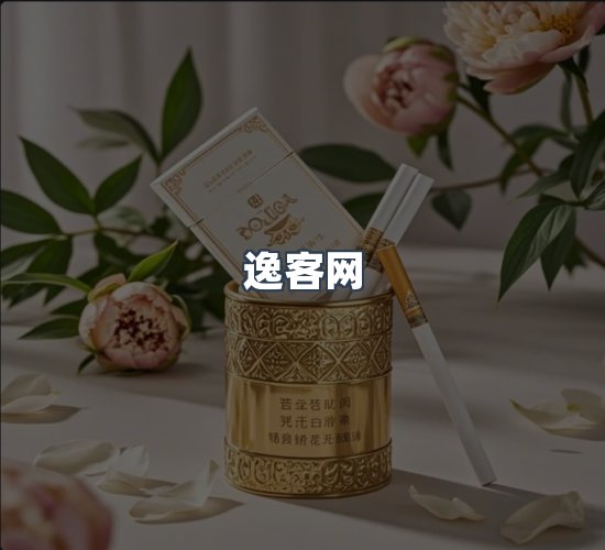 关于逸客网